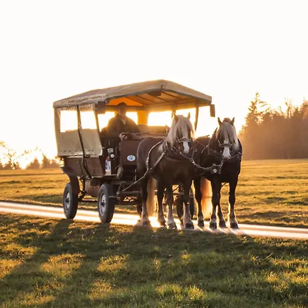 S' Kaennele Apartamento *