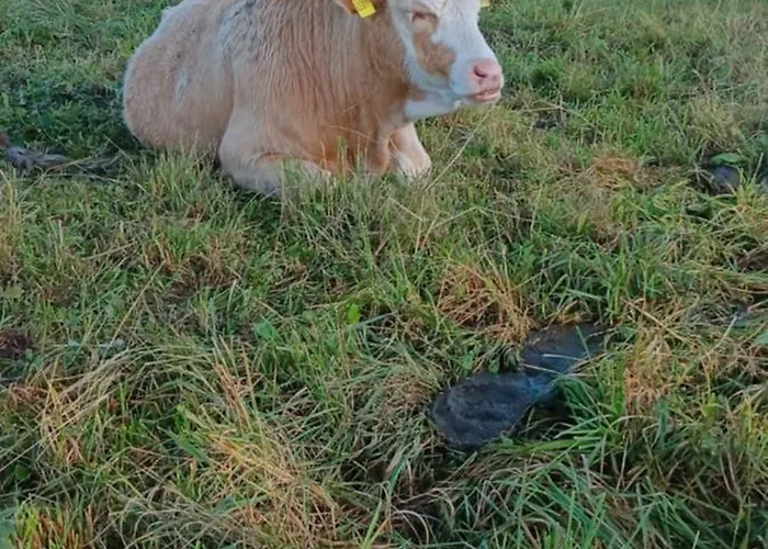 S' Kaennele דירה *